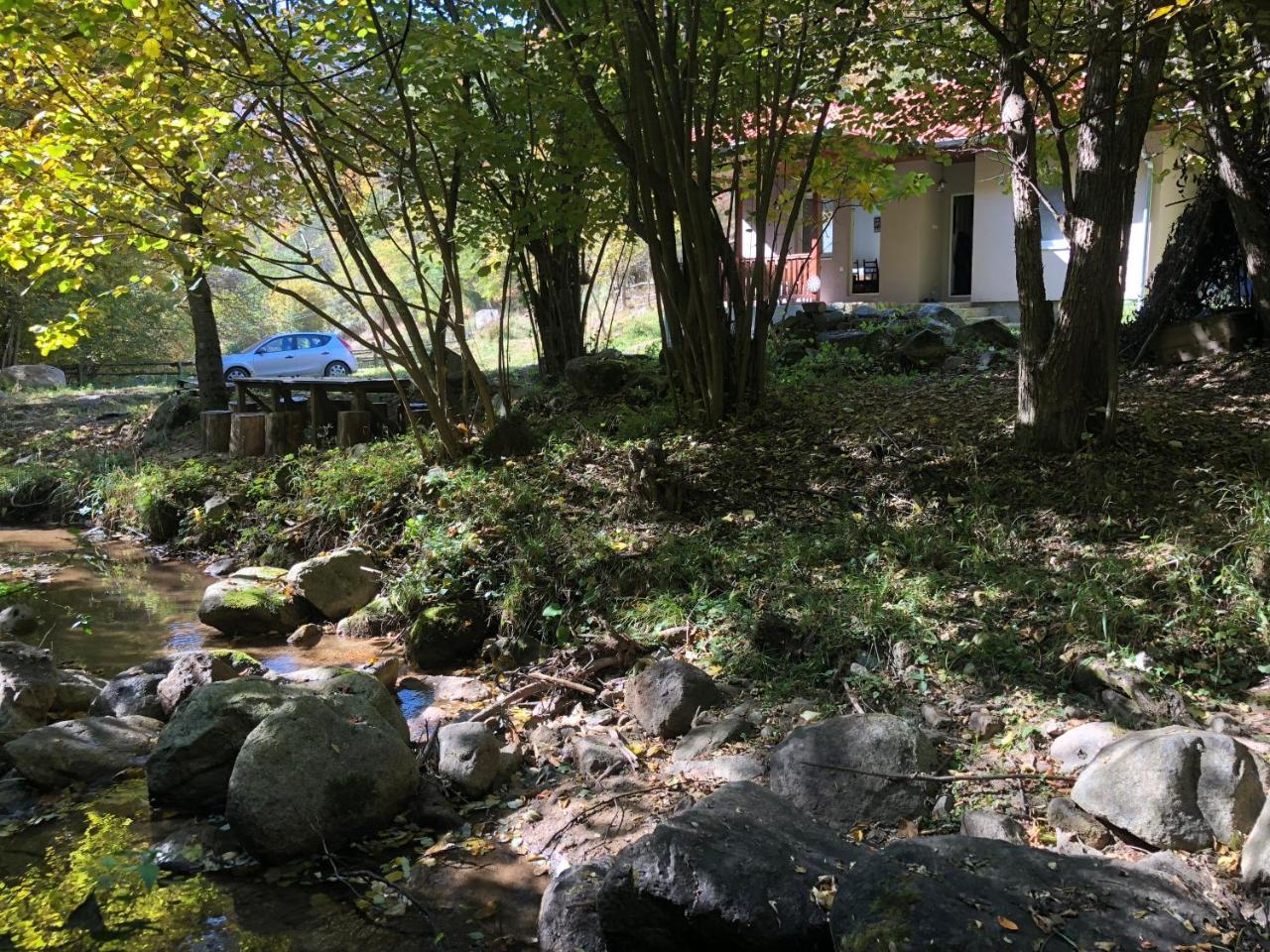 Vila Idila Crni Vrh ภายนอก รูปภาพ